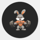 Recherche de powerlifting autocollants Entraînement