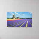 Suche nach windmühlen poster leinwandbilder Holland