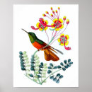 Suche nach naturwissenschaft poster Blume