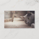 Recherche de chats cartes visite Toilettage