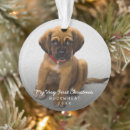 Recherche de animaux mignons ornements Dogs