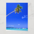 Recherche de cocotier cartes postales Sable