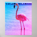 Suche nach hübscher vogel poster Wildtiere