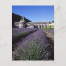 Recherche de vaucluse cartes postales Voyage