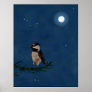 Suche nach magische nacht poster Sterne