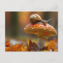 Suche nach niedliche schnecken postkarten Natur
