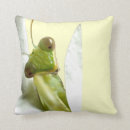 Recherche de mantid Macro