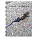 Recherche de reptile photographie Lézards