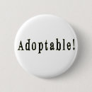 Recherche de bsl accessoires Chien