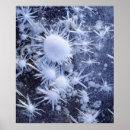 Suche nach eiskristall poster Blau