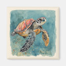 Recherche de de tortue de mer magnets Aquarelle