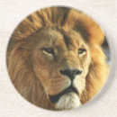 Suche nach kann einen löwen nicht haben untersetzer Tier