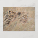 Recherche de caché cartes postales Animal