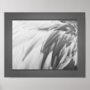 Recherche de plumes roses posters Toute personne