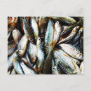 Recherche de petits poissons cartes postales Pêche