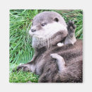 Recherche de loutre mignonne magnets Animaux