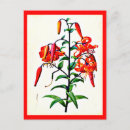 Recherche de pierre joseph cartes postales Redoute