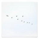 Recherche de petits oiseaux posters Toute personne