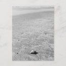 Recherche de ermite cartes postales Plage