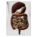 Recherche de descendants cartes postales Estomac