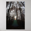 Suche nach magischer baum poster Spirituell