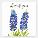 Recherche de lupin autocollants Texas