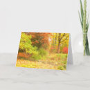 Suche nach palette alle karten Fotografie