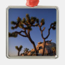 Suche nach kappen ornamente Natur