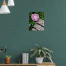 Suche nach pfingstrose poster Blumig