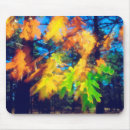 Recherche de chêne tapis souris Botanique