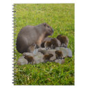 Suche nach riesen notizbuch Tierwelt