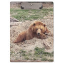 Recherche de ours brun porte blocs Porter