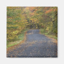 Recherche de raymond magnets Usa