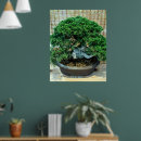 Suche nach chinesischer garten poster Bonsai