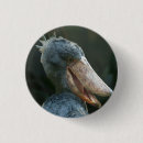 Recherche de aviaire badges Bec