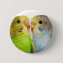 Recherche de perruches badges Oiseau