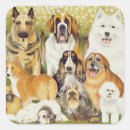 Recherche de bernards autocollants Chien