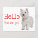 Recherche de westies cartes postales Chiot