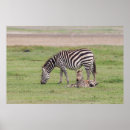 Suche nach neugeborener poster Tiere