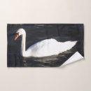 Recherche de cygne muet Animal