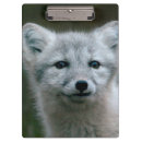 Recherche de renard porte blocs Nature