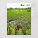 Recherche de ubud cartes postales Indonésie