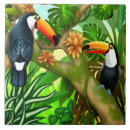 Suche nach toucan fliesen Tropisch