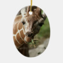 Recherche de ornement de girafe ornements Motif