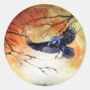 Suche nach crow aufkleber Rabe