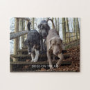 Suche nach hunde puzzle Haustier
