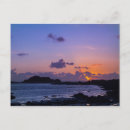 Suche nach guernsey poster Natur