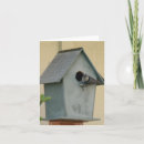 Suche nach birdhouse alle karten Vogelvogel