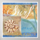 Suche nach nautilus muschel poster Strand