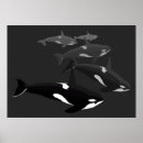 Recherche de orca art Orque